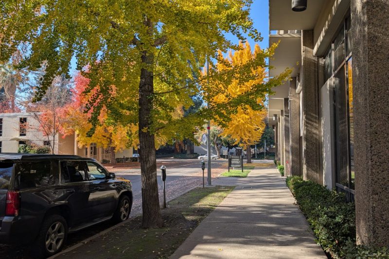 Home 11 Autumn Awaits: Key Homebuying and Refinancing Tips to Consider Before Fall Officially Begins